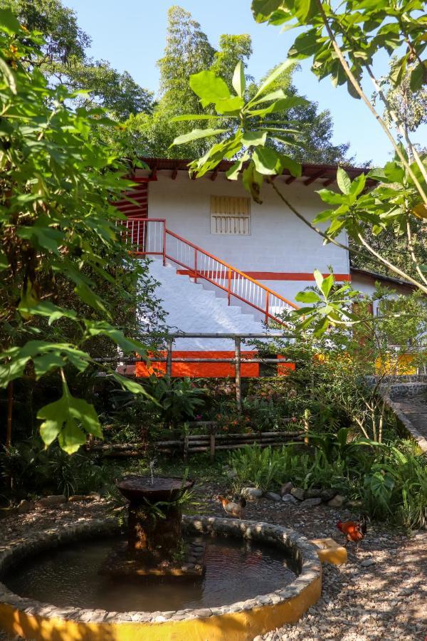 Finca Los Abuelos - La Planta Concepcion Exterior foto