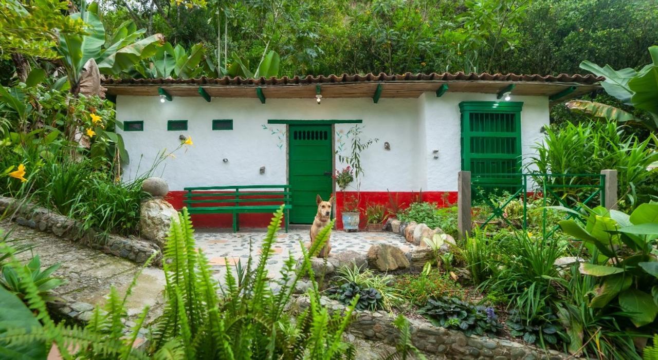 Finca Los Abuelos - La Planta Concepcion Exterior foto